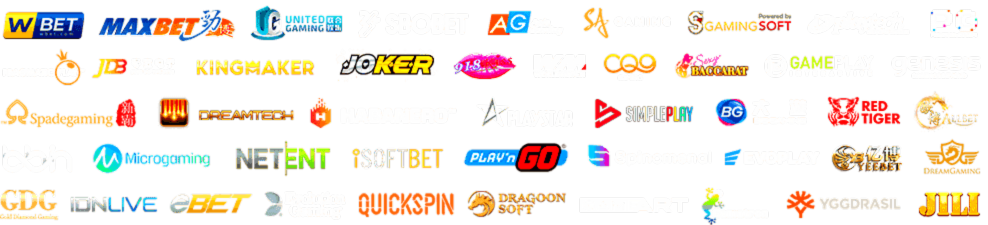 Providers